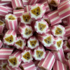 Golden Retriever Rock (Ginger Cola)